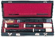2350 - Aulos Hard Case with Instruments for Soprano and Alto Recorders